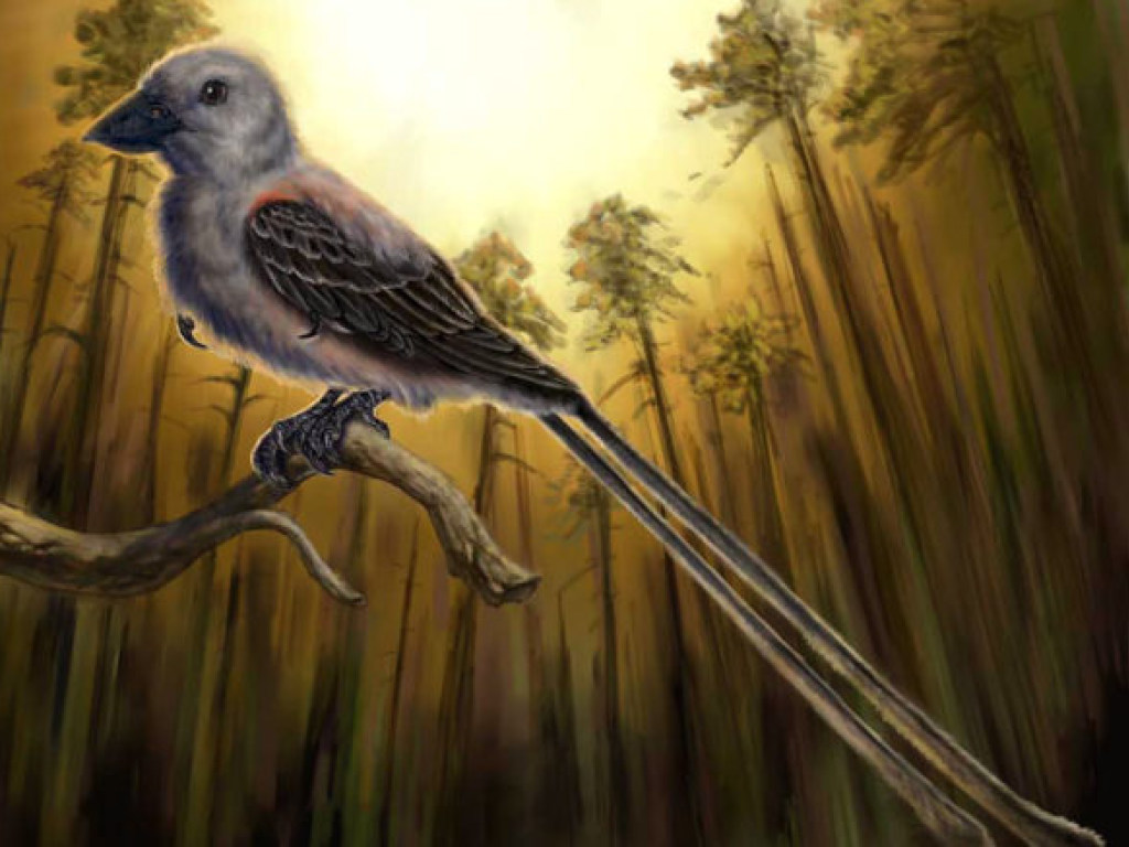 Останки древней беременной птицы поразили китайских археологов (ФОТО)