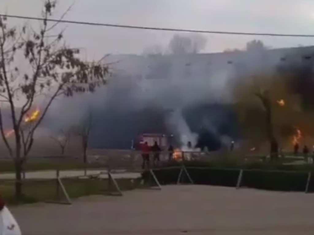 В Запорожье произошел крупный пожар в городском парке (ФОТО, ВИДЕО)