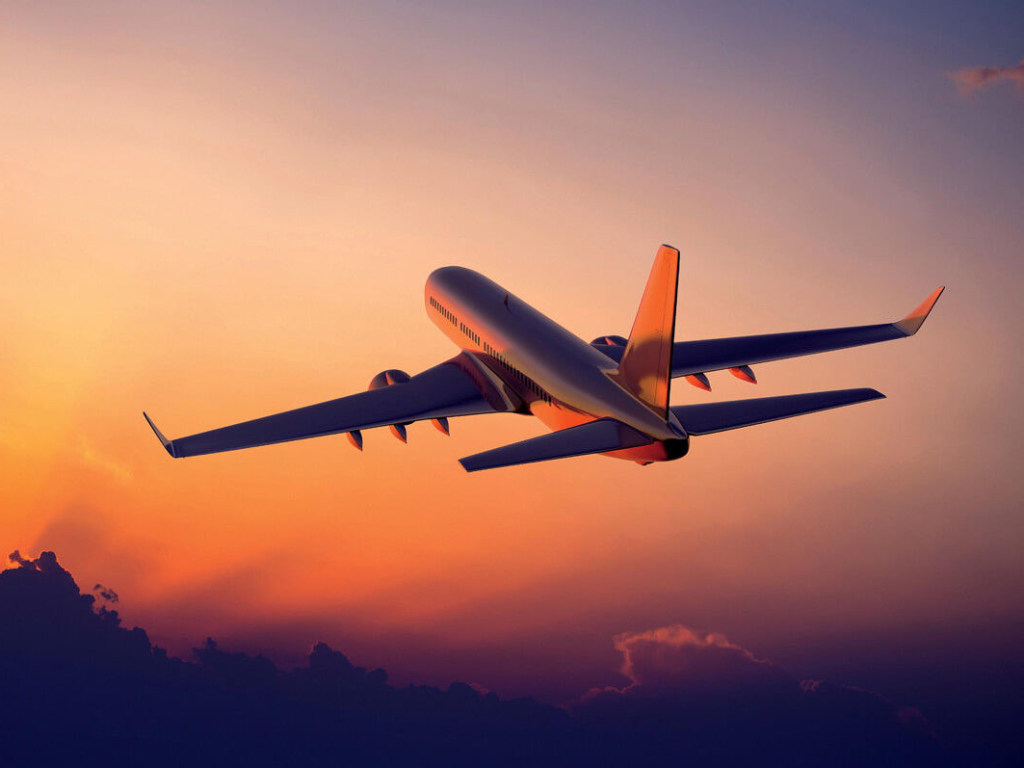 «Одежда ухудшает аэродинамику тела»: Голый турист брал штурмом самолет (ВИДЕО)