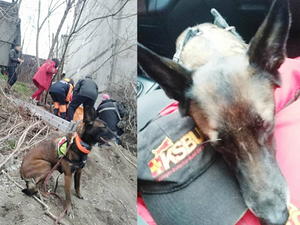 Служебный пес нашел в колодце пожилую жительницу Днепра (ФОТО)