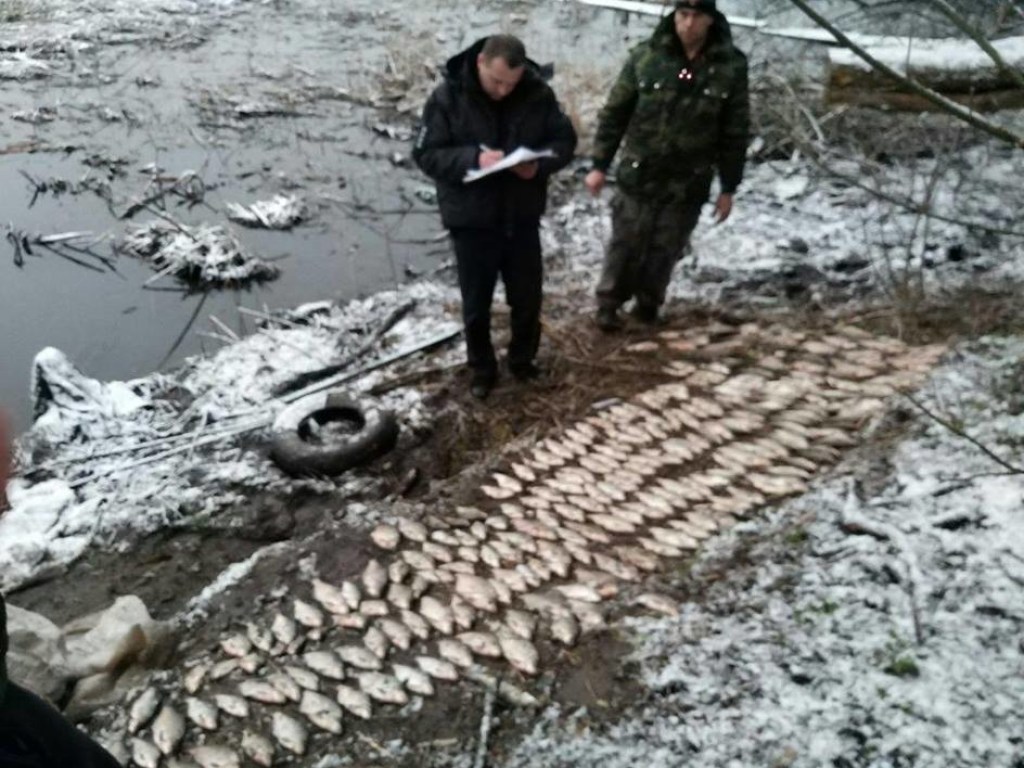 Под Киевом на водохранилище браконьеры подрались с патрулем