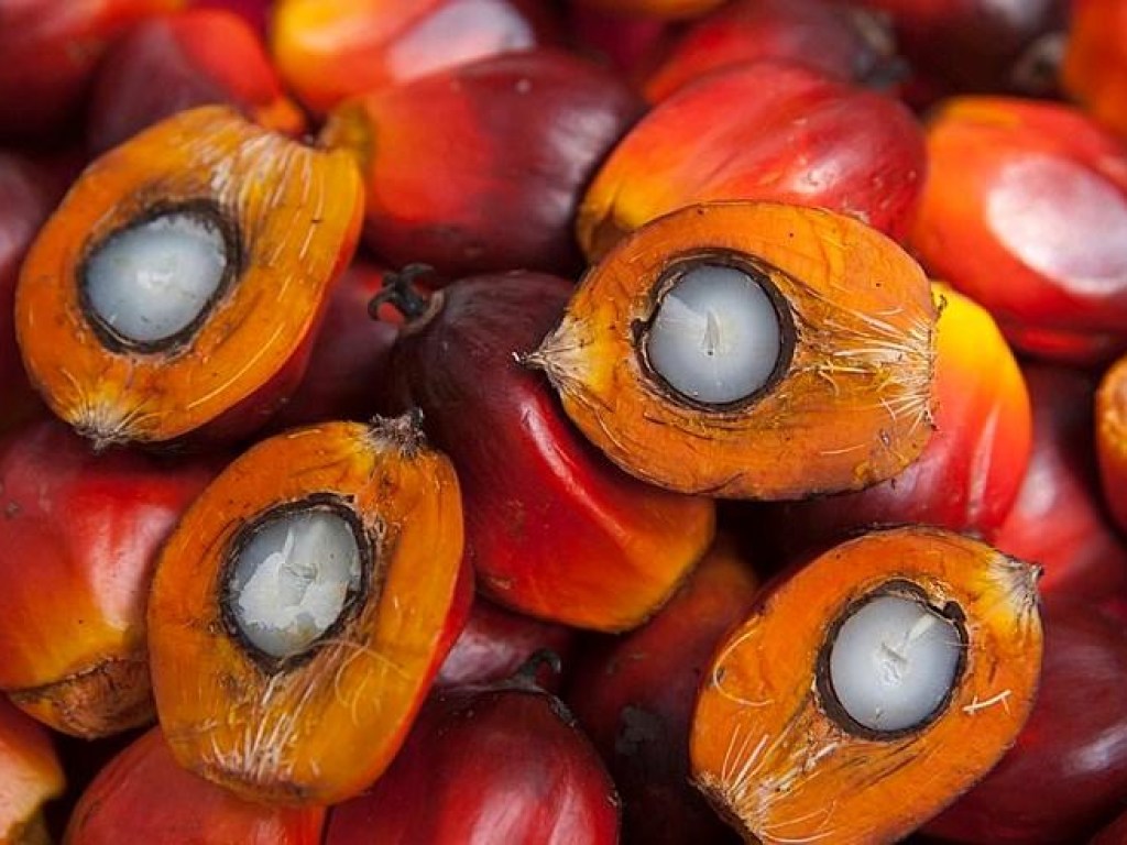 Эксперты назвали неожиданное свойство пальмового масла