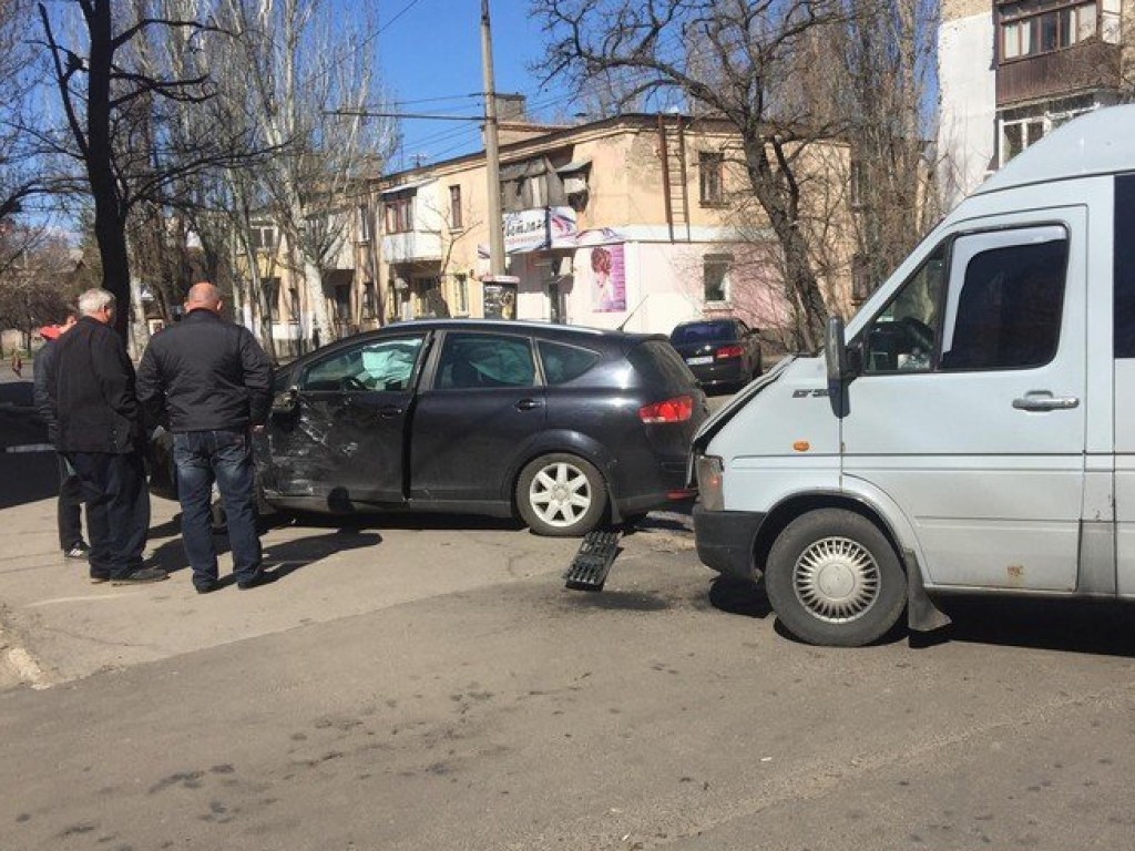 В Николаеве из-за собаки произошло ДТП: столкнулись две иномарки (ФОТО) 