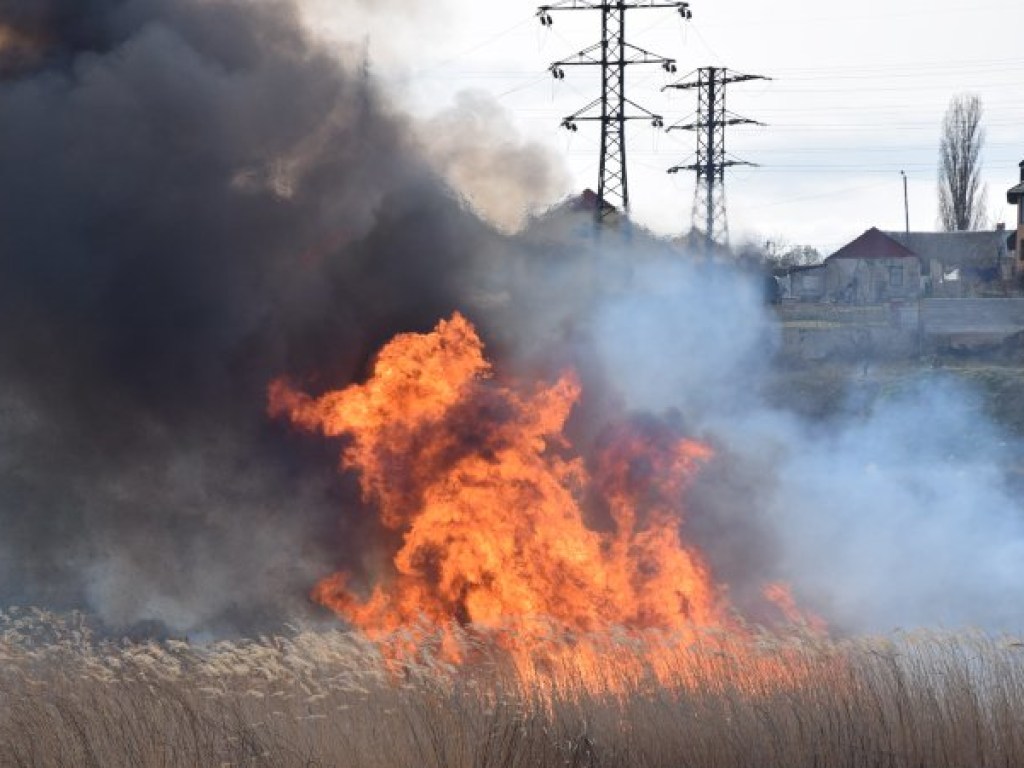 В Николаеве ликвидировали масштабный пожар (ФОТО, ВИДЕО)