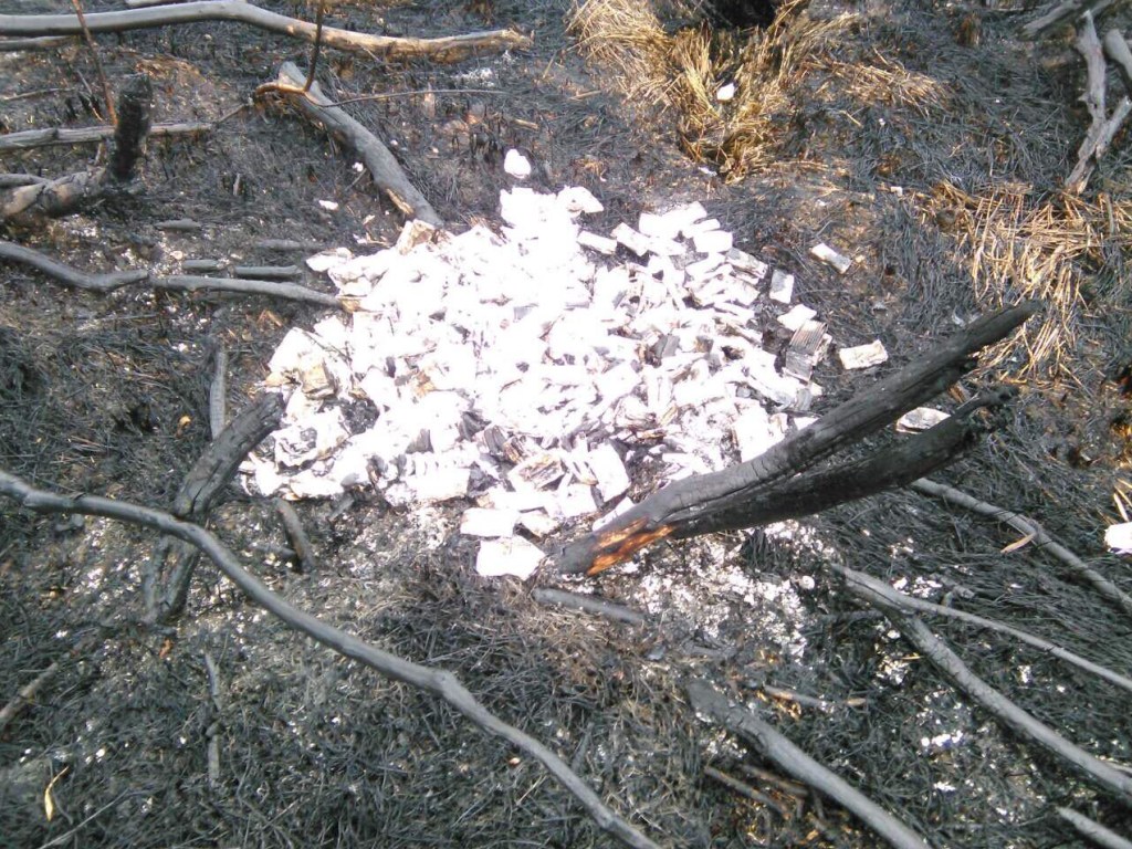 В Волынской области контрабандисты в панике сожгли 12 ящиков сигарет (ФОТО)