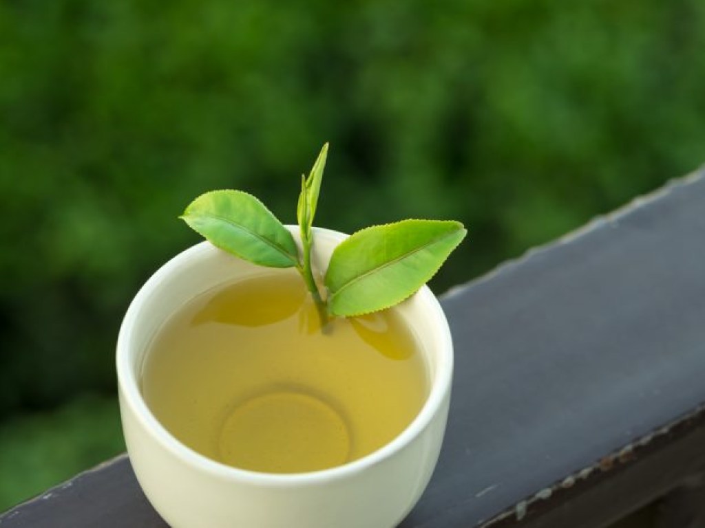 Говорим «нет» жировым складкам: как пить зеленый чай, чтобы похудеть