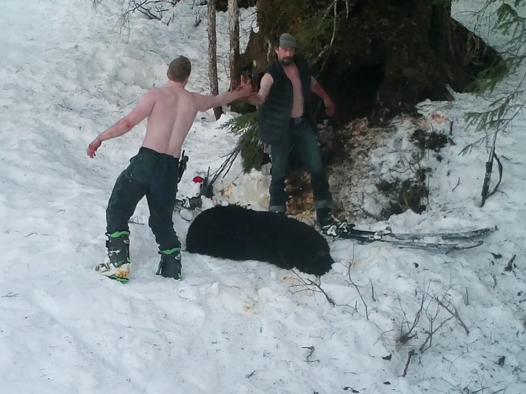 Жестокая расправа: на Аляске охотники убили медведицу и медвежат во время спячки (ФОТО, ВИДЕО)