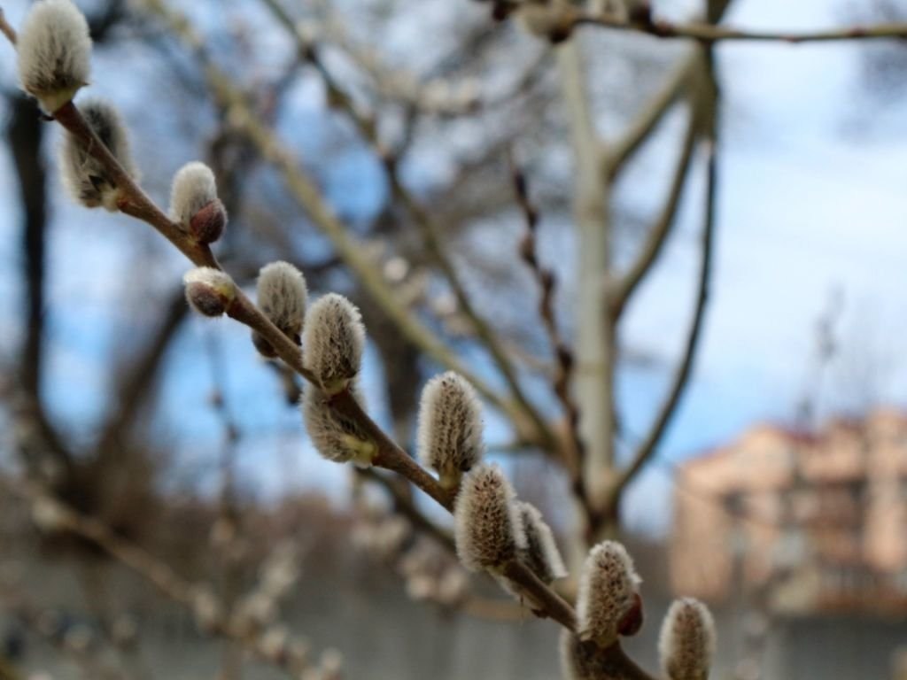 Синоптик: 1 апреля Украину ждет небольшое похолодание (ДИАГРАММА)