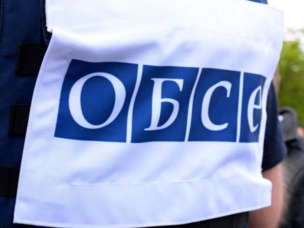 ОБСЕ признала выборы в Украине свободными (ВИДЕО)