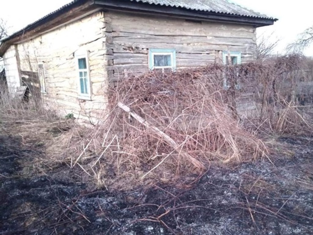 В Черниговской области неизвестные избили двух спасателей, тушивших сухую траву (ФОТО)