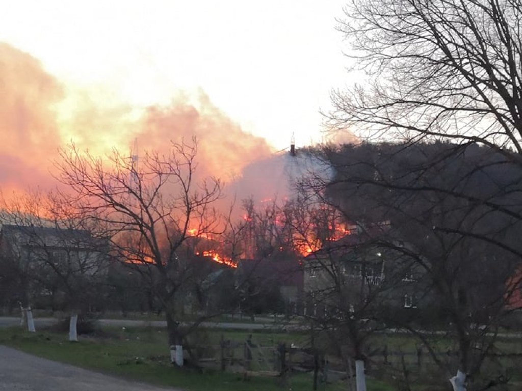 На Закарпатье в лесу начался мощный пожар: ситуацию осложняет сильный ветер (ФОТО, ВИДЕО)