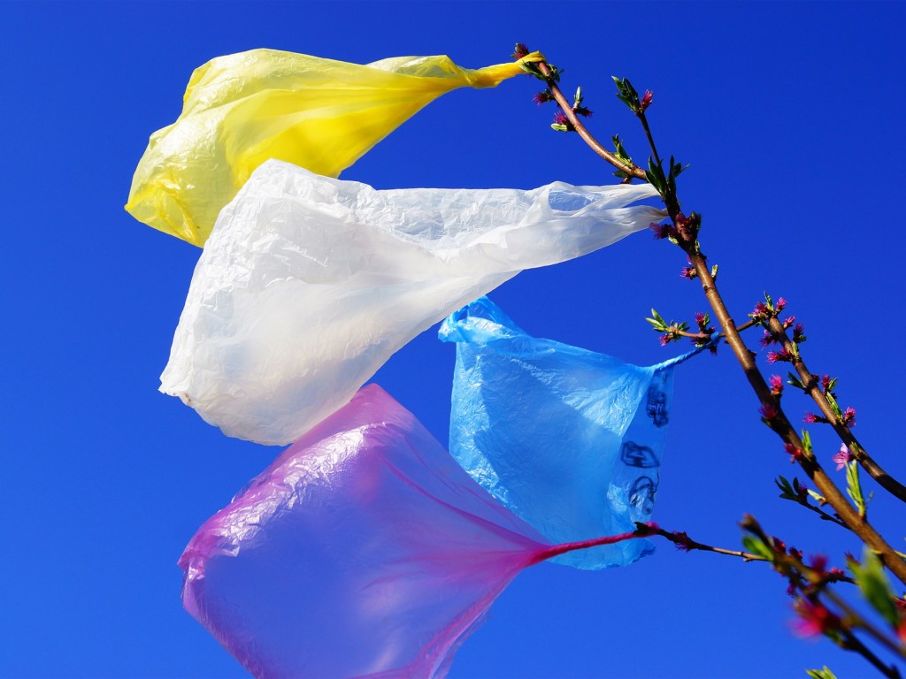 В Грузии запретили использовать пластиковые пакеты