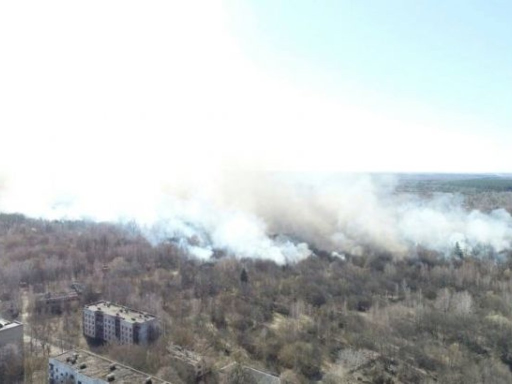 В Чернобыльской зоне вспыхнул крупный пожар