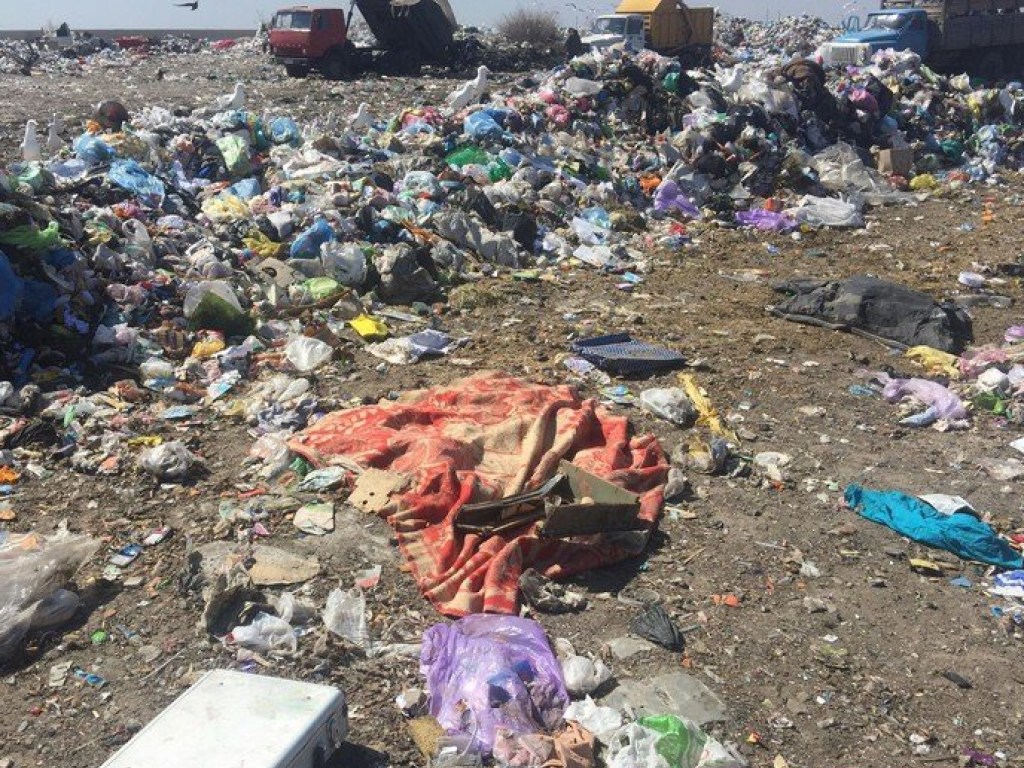 На мусорной свалке в Николаеве нашли расчлененный труп женщины (ФОТО, ВИДЕО)