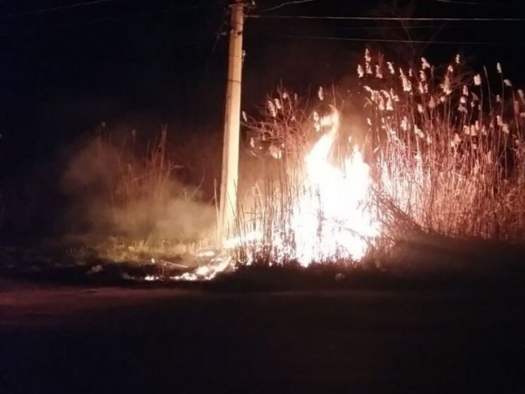 В Николаеве ночью снова возник масштабный пожар камыша (ФОТО) 