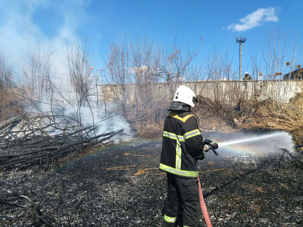 В Полтавской области пожары травы угрожают жилым домам (ФОТО)