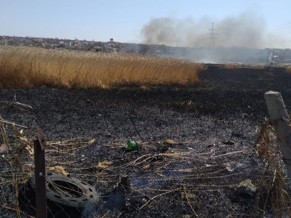 Горела трава и камыш: спасатели остановили масштабный пожар в Николаевской области (ФОТО)