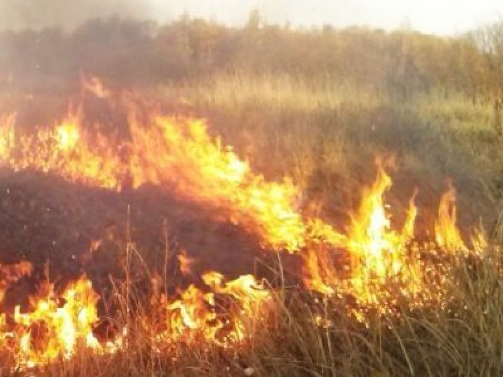 85-летняя жительница Винницкой области жгла траву и сгорела