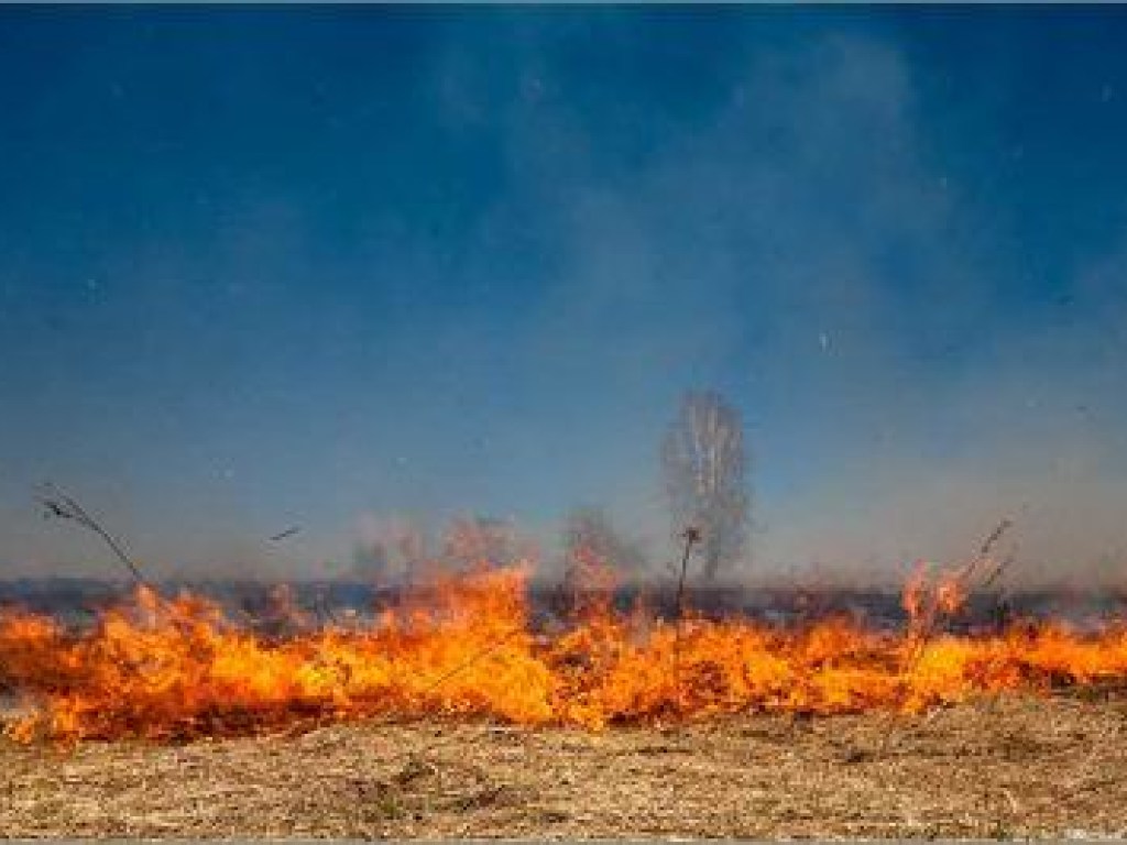 В Полтавской области горела трава: пламя уничтожило дом (ФОТО)