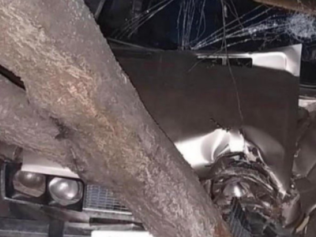 Водитель хотел поспать: в Полтавской области автомобиль врезался в дерево (ФОТО)