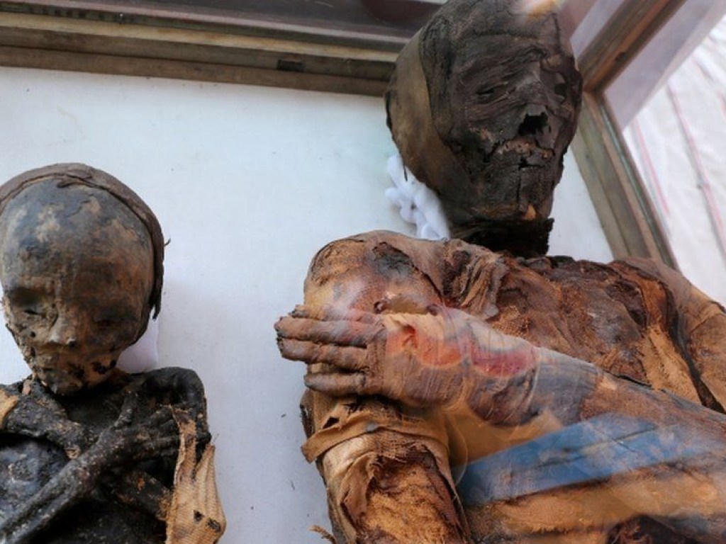 Археологи обнаружили в Египте гробницы с мумиями людей, мышей и птиц (ФОТО)