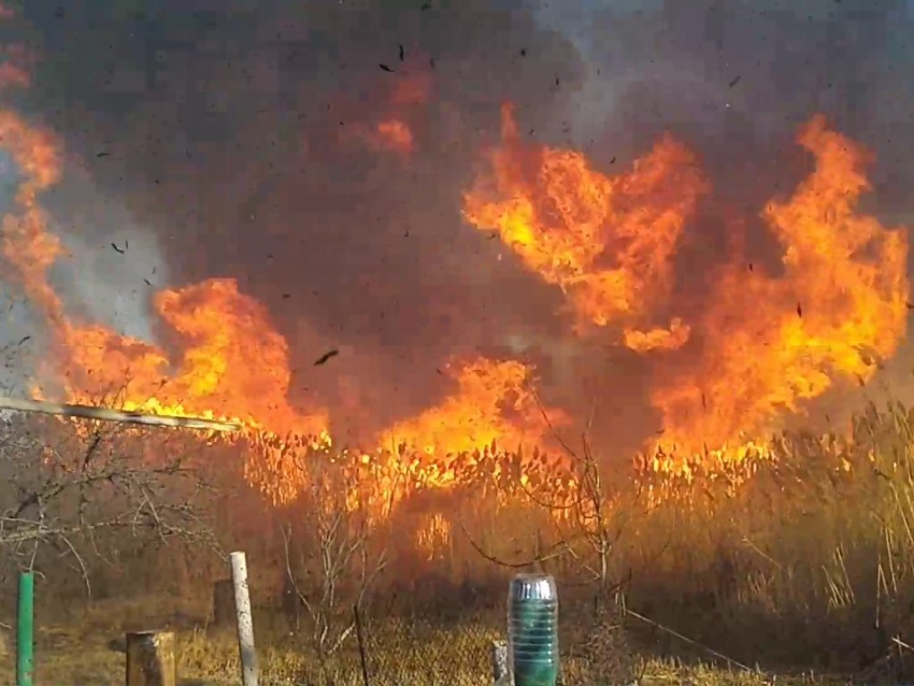 В Черниговской области горит камыш на площади 40 гектаров: на месте работает вертолет и самолет ГСЧС