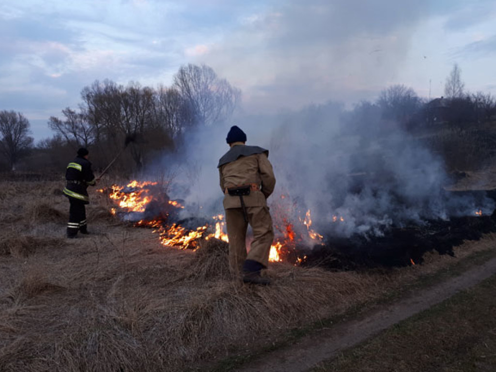 Пожары в экосистеме в Харьковской области: есть жертвы и повреждения домов (ФОТО)