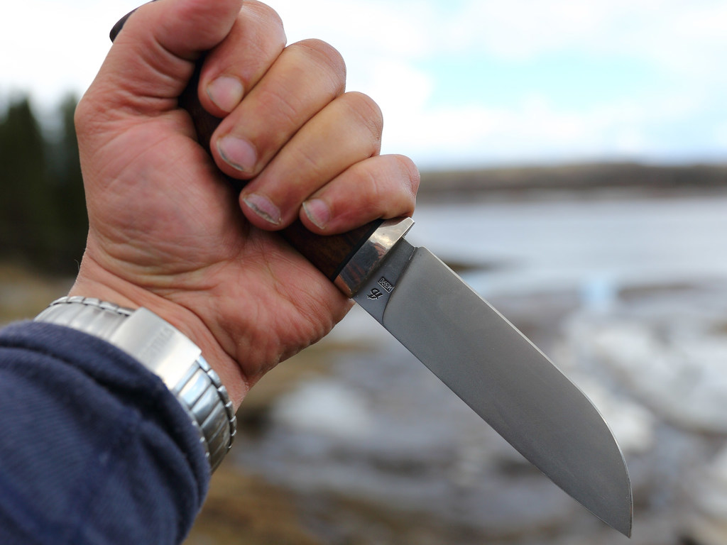 66 ударов ножом: Пьяный изверг убил и ограбил старушку в Запорожской области