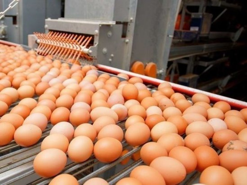 В Украине впервые за последние несколько лет перед пасхальными праздниками подешевели яйца – эксперт