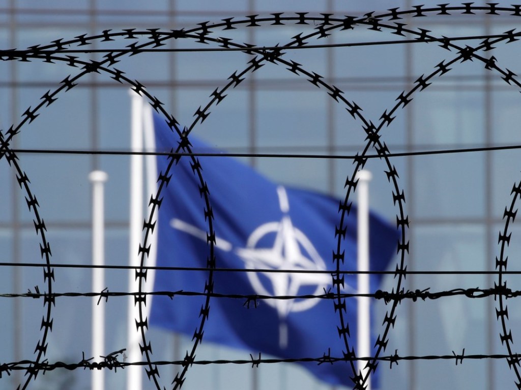 Языковой закон гвоздями забивает для Украины дверь в НАТО  &#8212; политолог