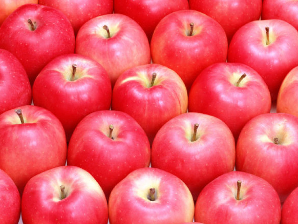 Эксперты рассказали, можно ли есть яблоки каждый день