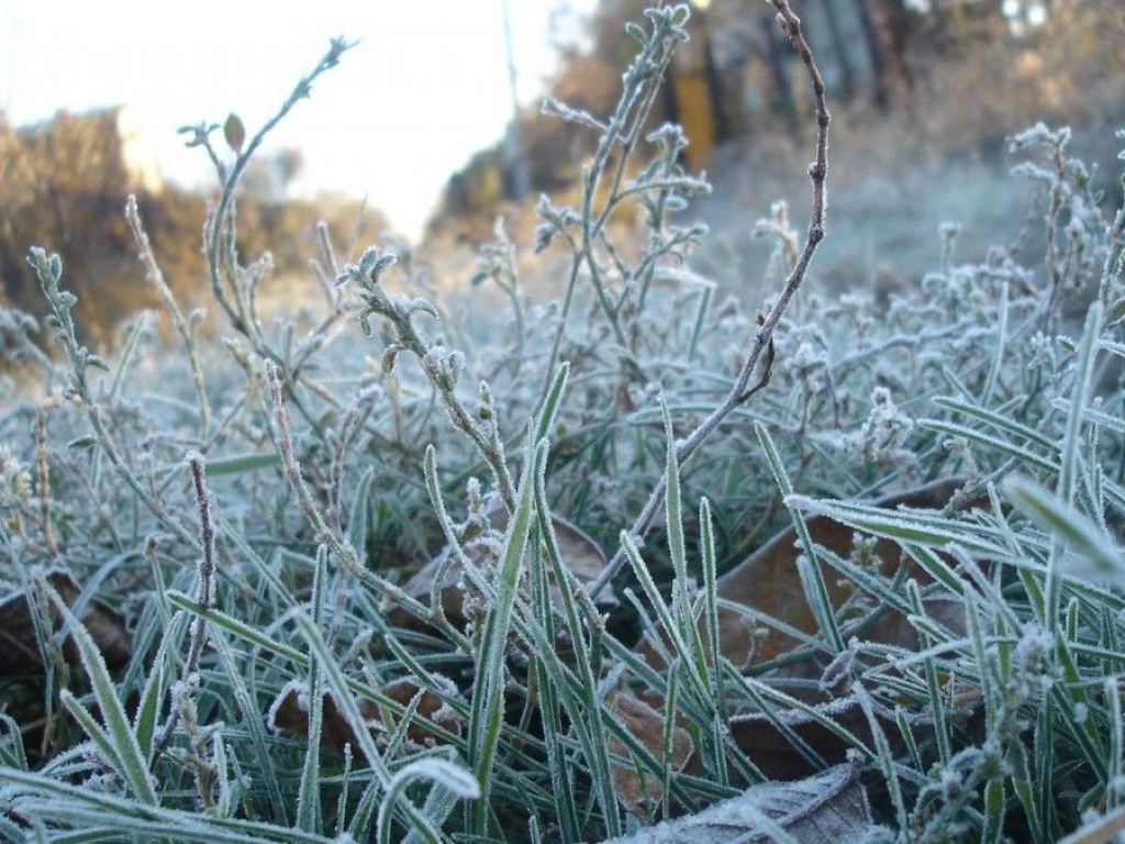 Грядут заморозки: В Украине ожидаются морозы до -5 градусов