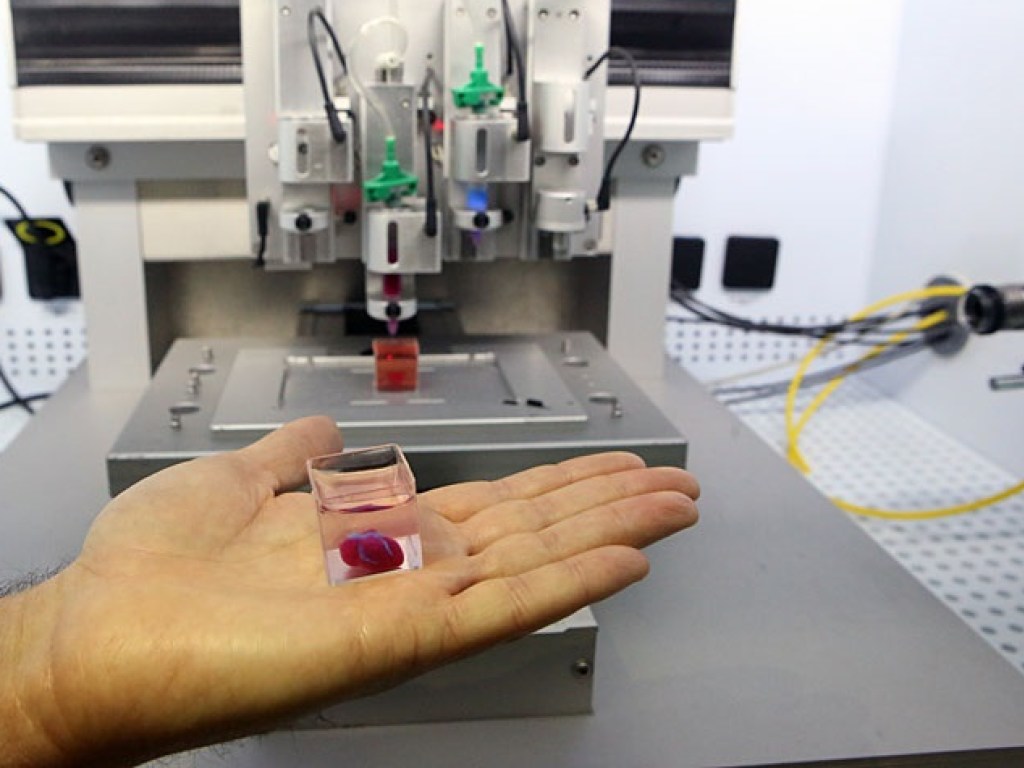 Ученые напечатали с помощью 3D-принтера «живое» сердце (ФОТО) 