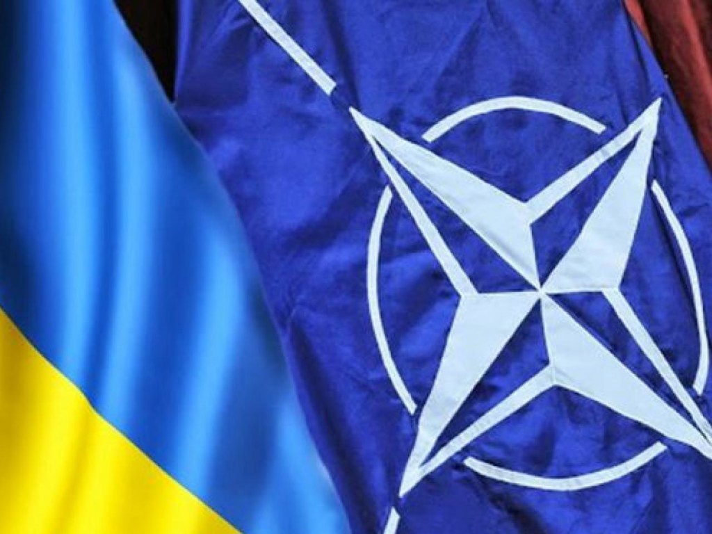 Программа Украина-НАТО имеет сугубо декларативный характер &#8212; политолог