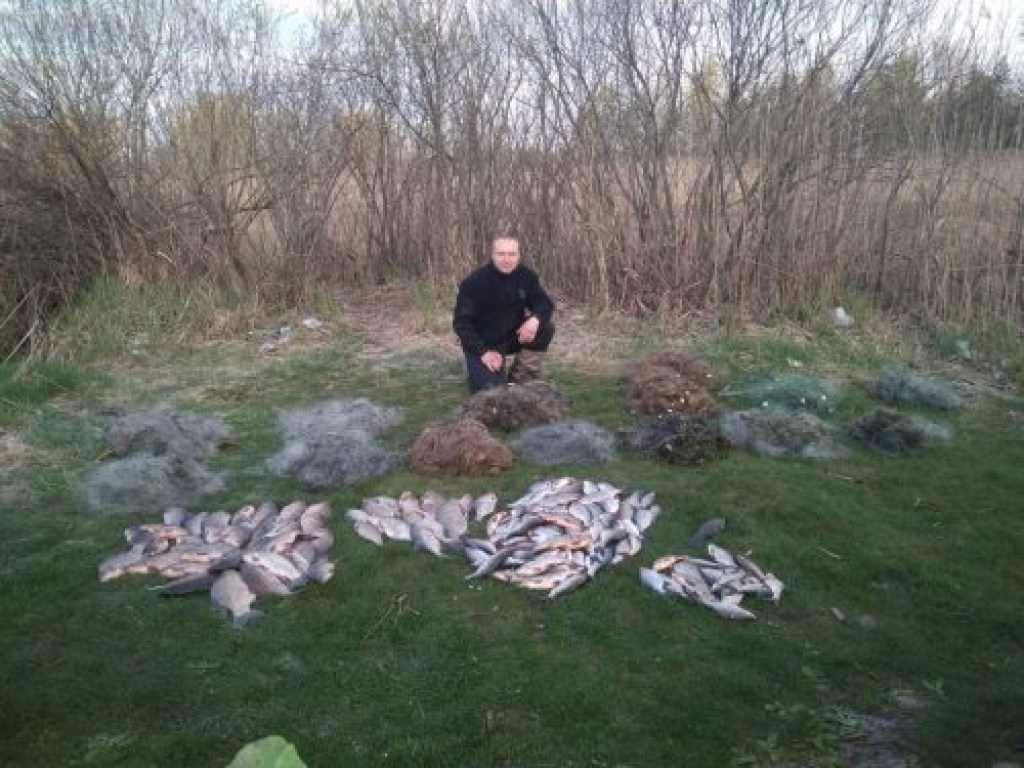 В Черкасской области браконьеры наловили рыбы на девять тысяч гривен (ФОТО)