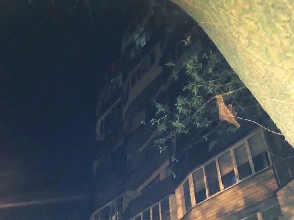 На Святошино в Киеве произошел пожар в многоэтажке: спасители эвакуировали семейную пару (ФОТО)