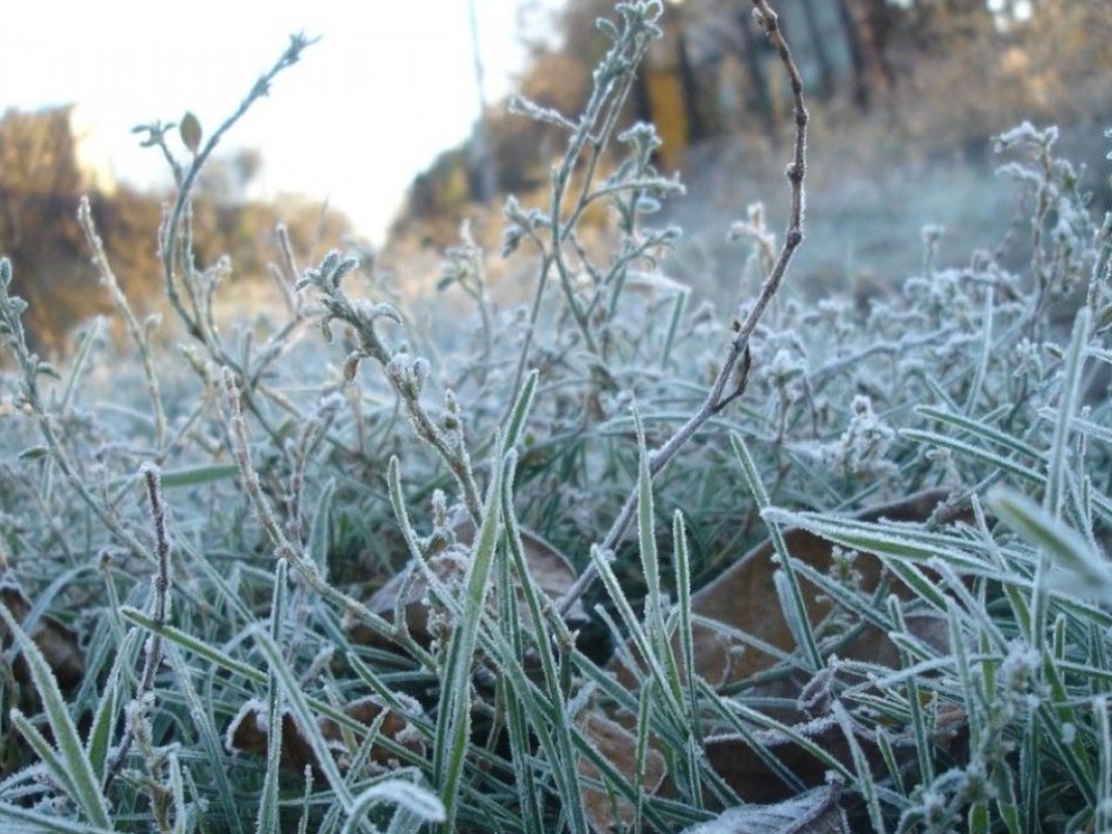 Не прячьте теплые вещи: синоптики предупредили о сильных заморозках