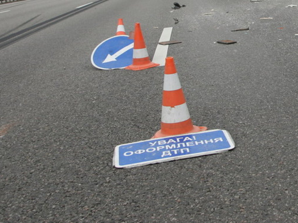 В Киеве водитель погиб при попытке убрать котенка с проезжей части (ВИДЕО)