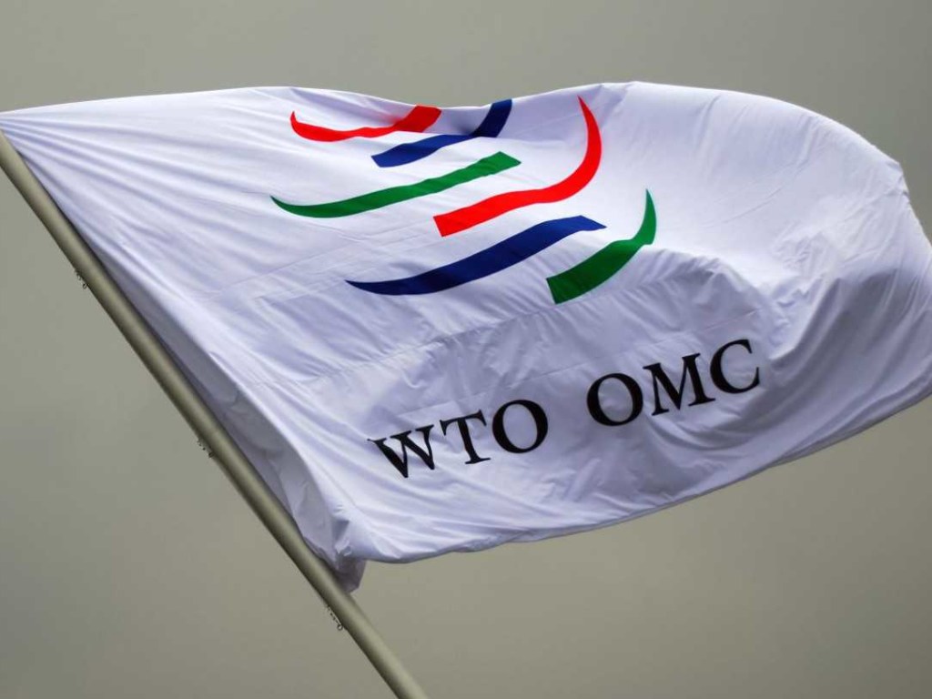 ВТО сказала свое слово по транзитному спору Украины и РФ