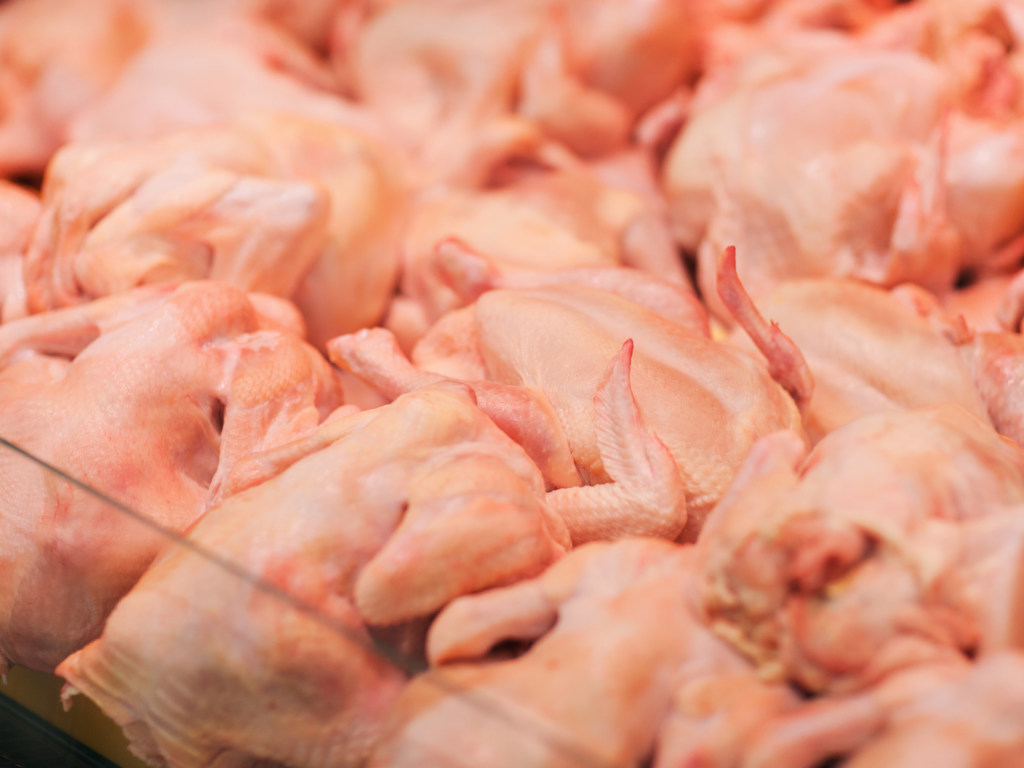 Эксперт прокомментировал недовольство Европарламента ростом экспорта украинской курятины в ЕС