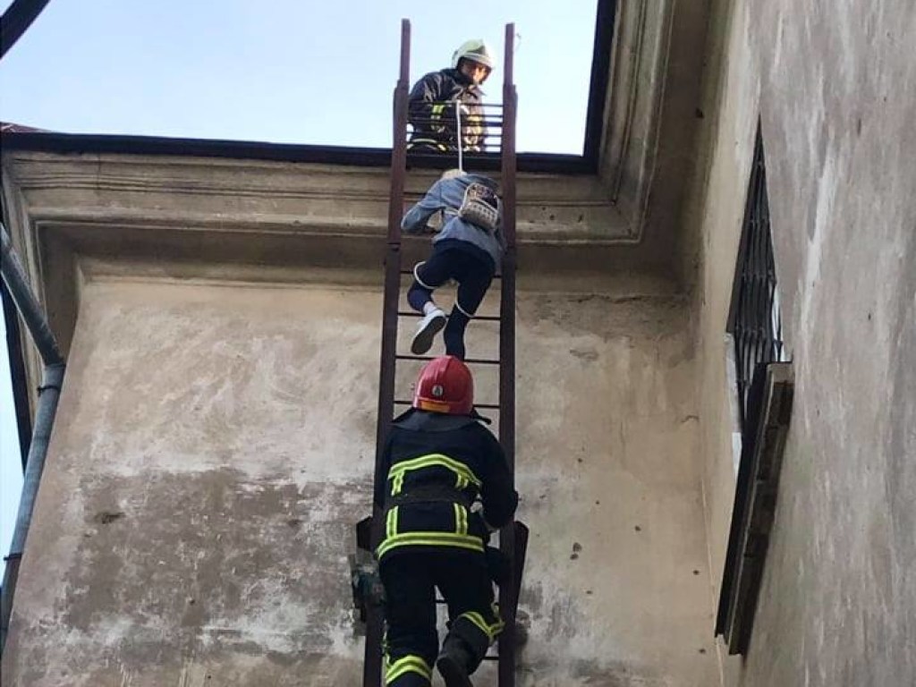 Хотели сделать сэлфи: В Николаеве спасатели сняли с крыши дома подростков (ФОТО)