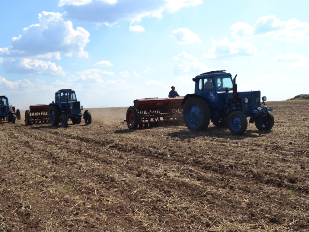Стало известно, как повлияла непогода на урожай в Украине