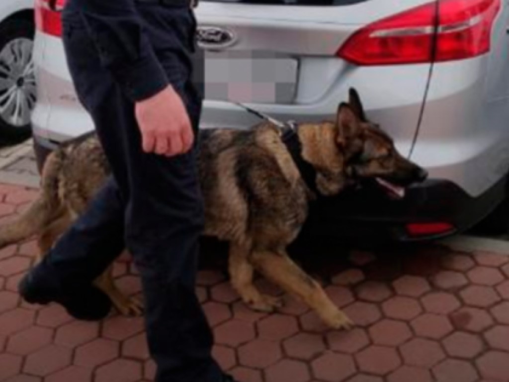 Новые «минирования» в Харькове: полиция проверяет вокзал и аэропорт 