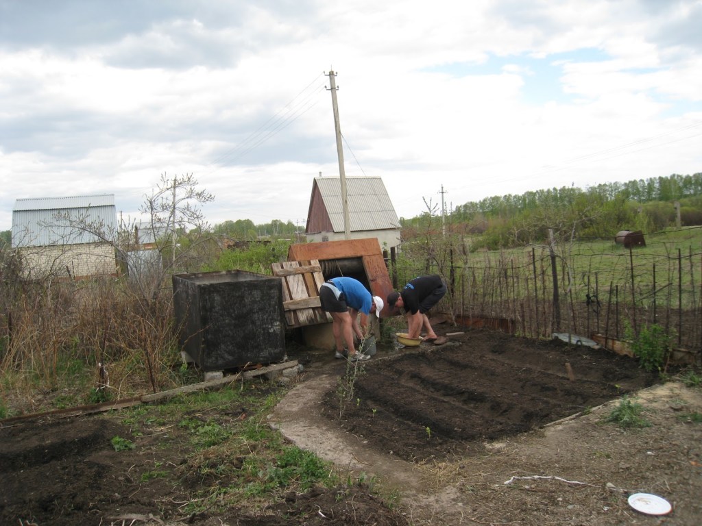 Дача в мае: что нужно сделать садоводам и огородникам