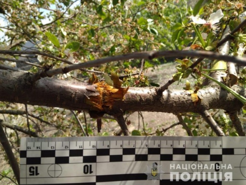 В Харьковской области во двор метнули гранату (ФОТО)