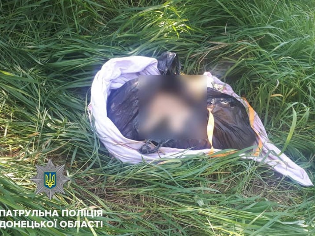 В Донецкой области мужчина бросил на огороде пакет с фрагментами человеческого тела (ФОТО)