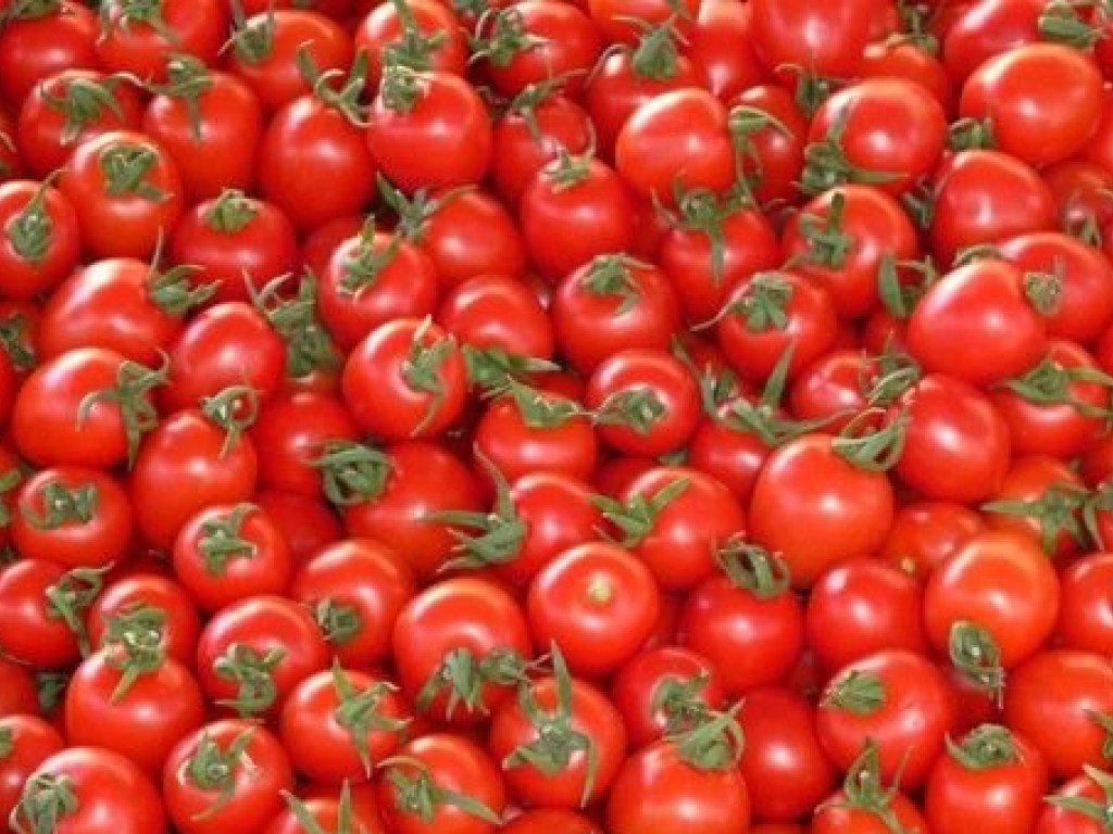 В Украину попала партия зараженных помидоров из Турции