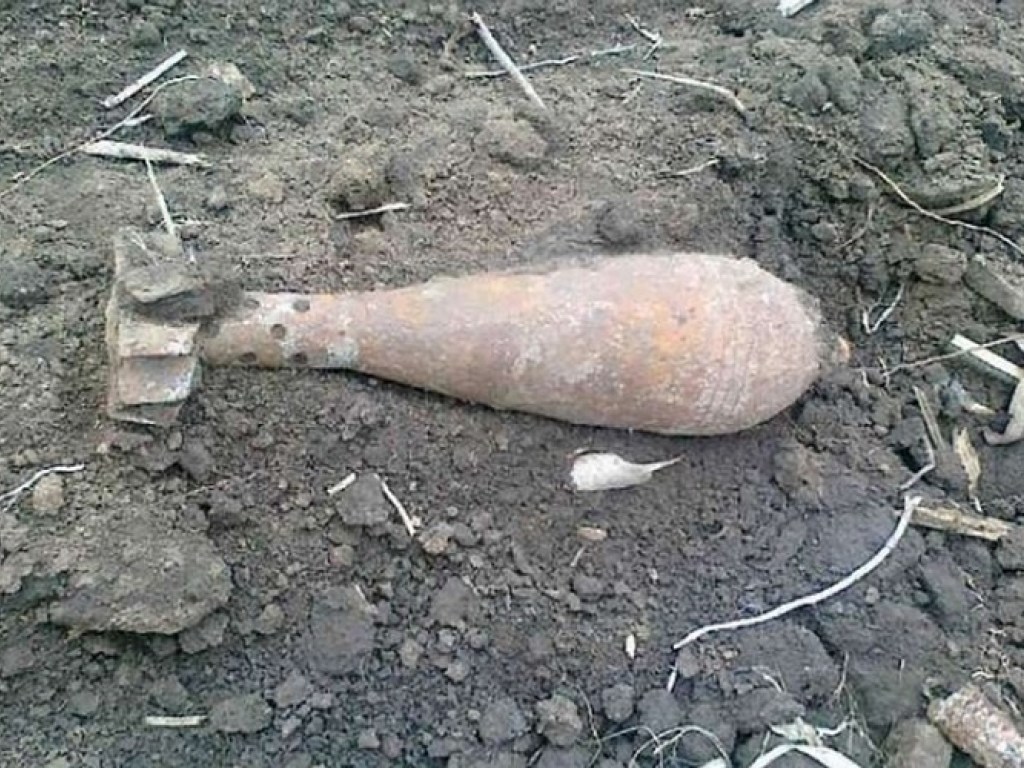 Под Харьковом нашли 43 военных боеприпаса (ФОТО)