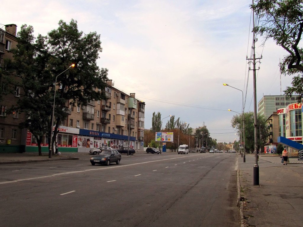 Двое пьяных мужчин в Мелитополе устроили драку прямо на проезжей части (ФОТО)