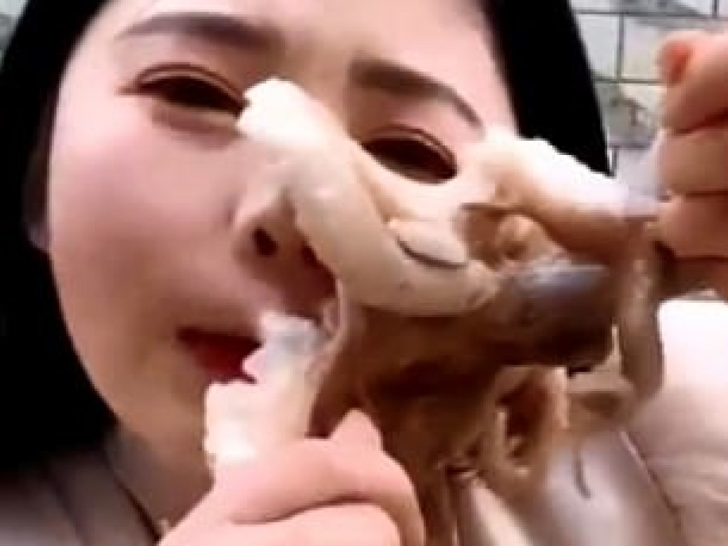 В Китае осьминог попытался съесть блогера в прямом эфире (ФОТО, ВИДЕО)